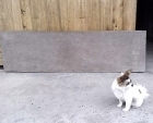 猴栗木（钩栲）