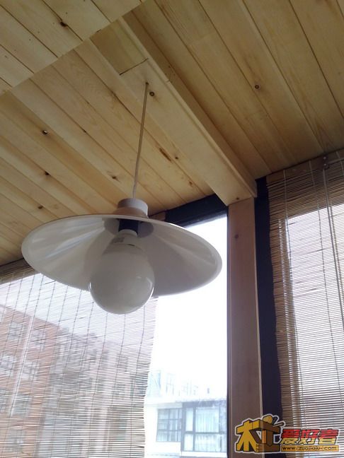 20100608449.jpg