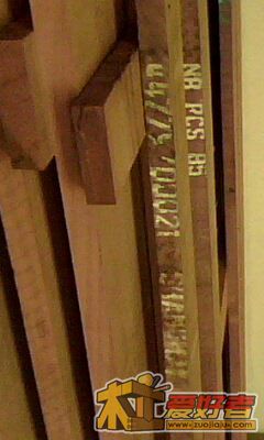 IMG0209A.jpg