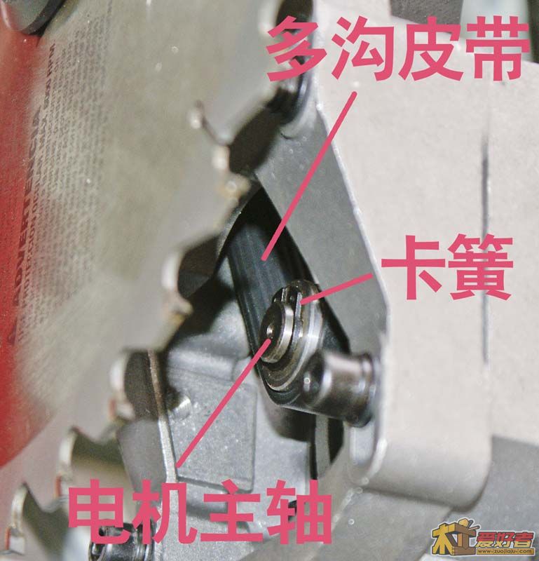 皮带.jpg