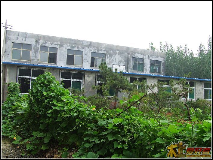 后花园G.jpg