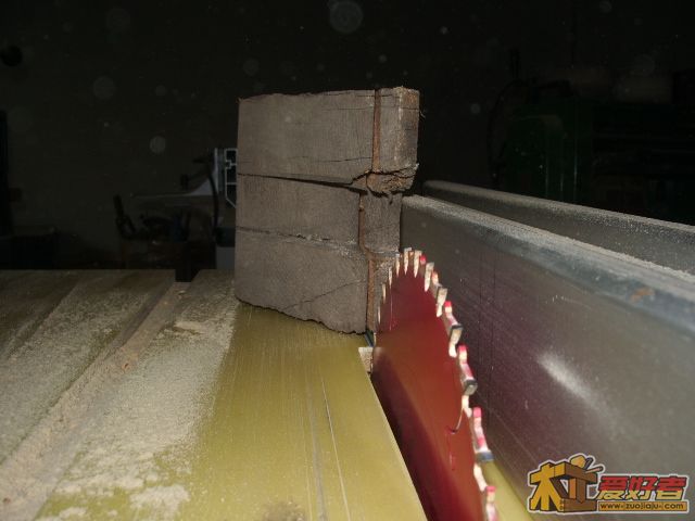 IMGP2599.JPG
