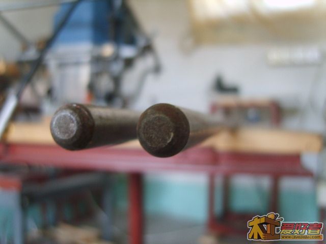 S8303772.JPG