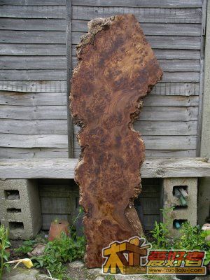 Burr_plank.JPG