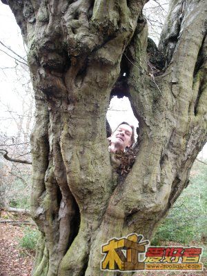 Treeman.JPG