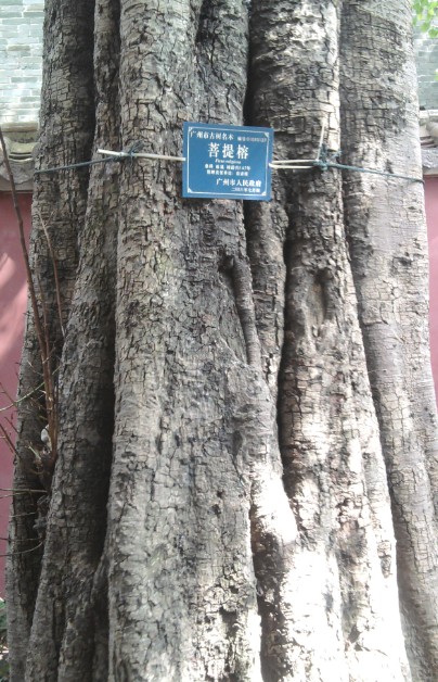 111名.jpg