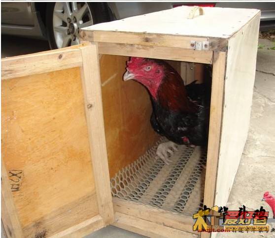 QQ截图未命名３.jpg