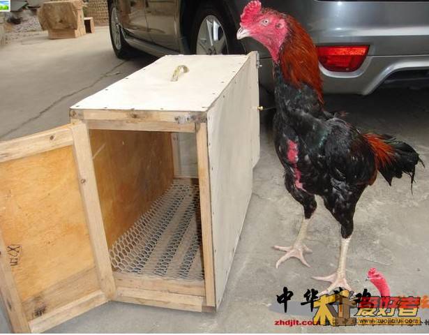 QQ截图未命名２.jpg