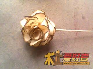 IMG0128B.jpg