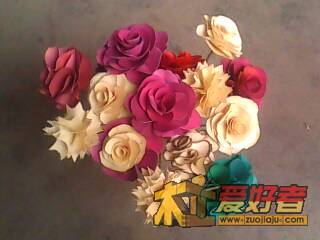 IMG0144A.jpg