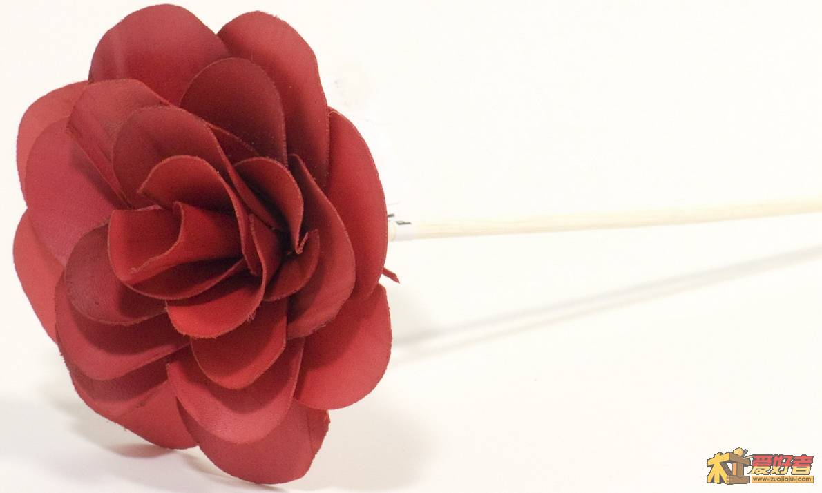 Rose.jpg