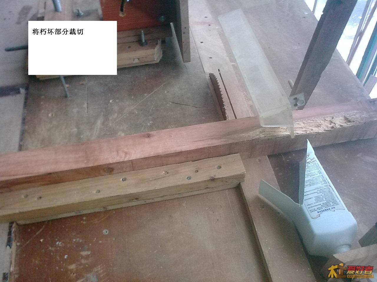 图像老虎腿1041.jpg