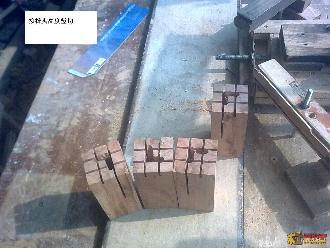 图像老虎腿1090.jpg