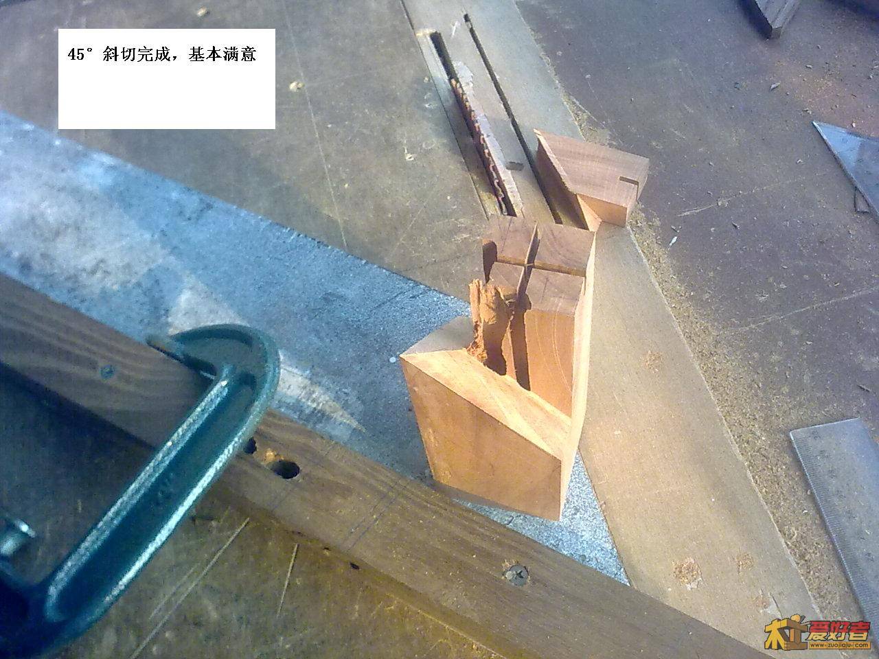 图像老虎腿1096.jpg