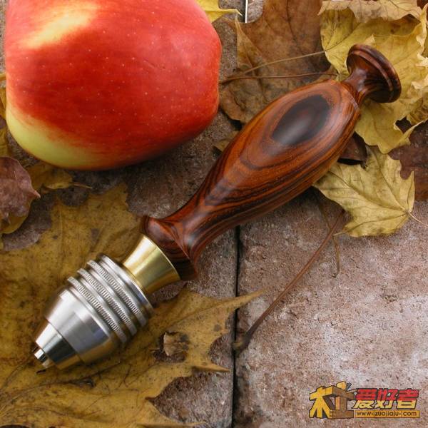 zoom_PV2_leavesapple.jpg