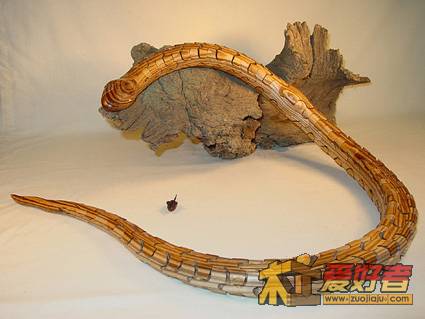 30911boa-lg.jpg