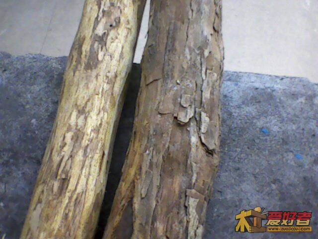 IMG2224A.jpg