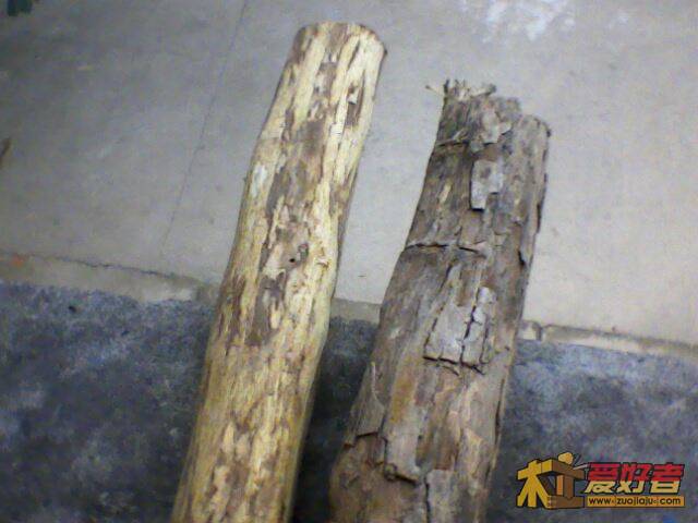 IMG2225A.jpg