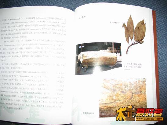 191211ah7ffiyw0ssiqapq[1].jpg