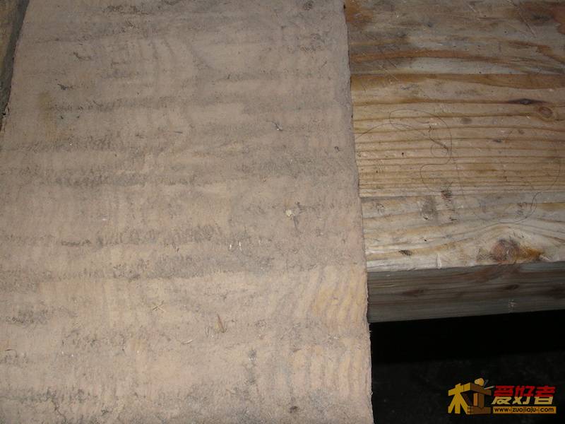 SANY1260.JPG