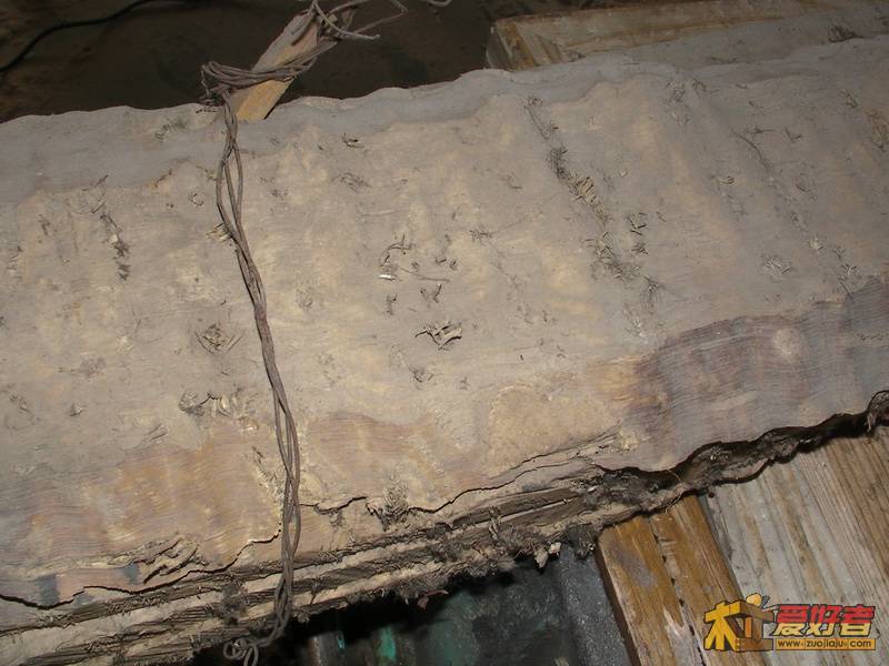 SANY1268.JPG