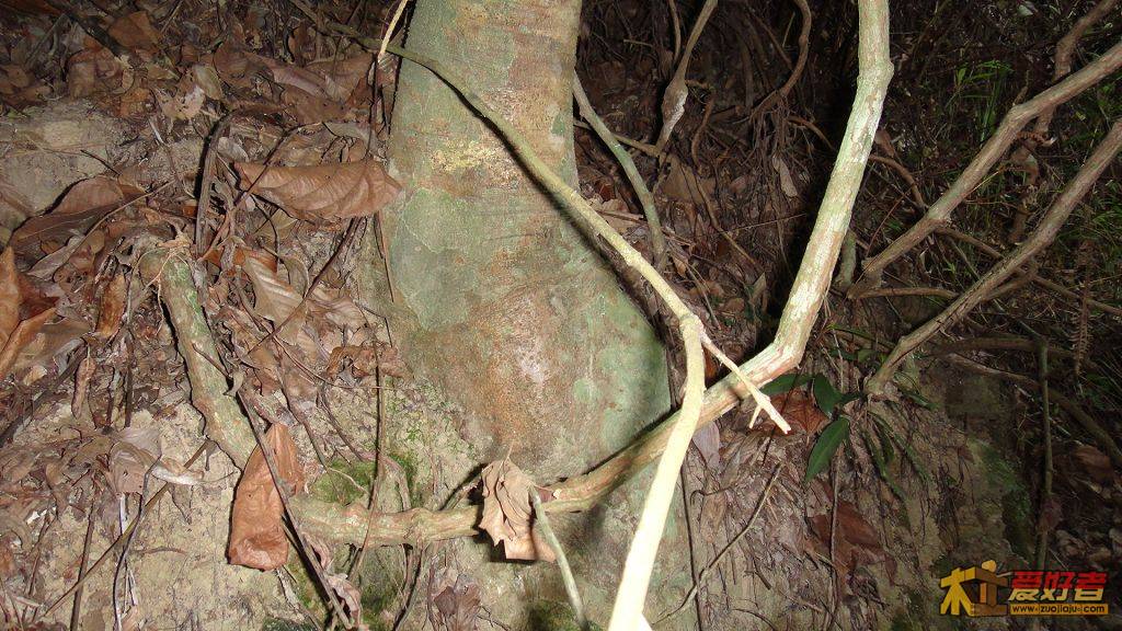 DSC00371.JPG