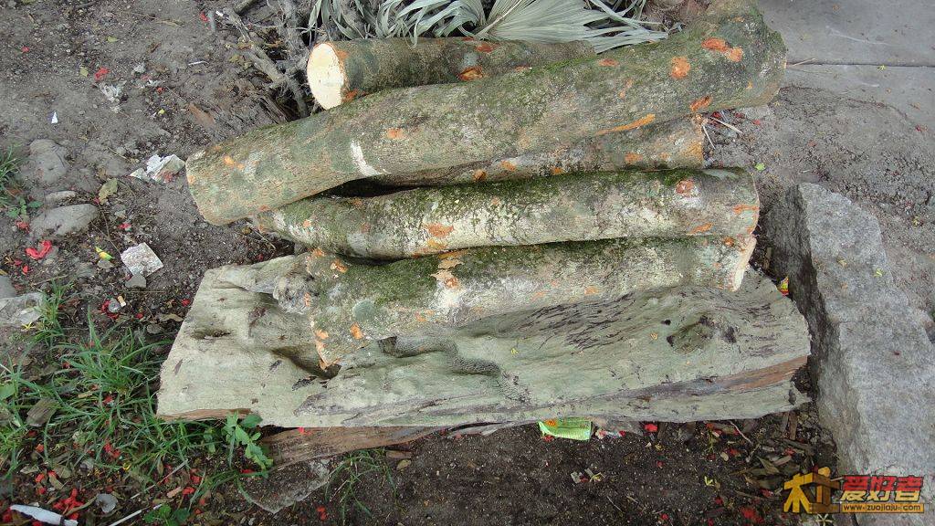 DSC00603.JPG