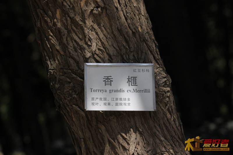 IMG_6751_调整大小.JPG