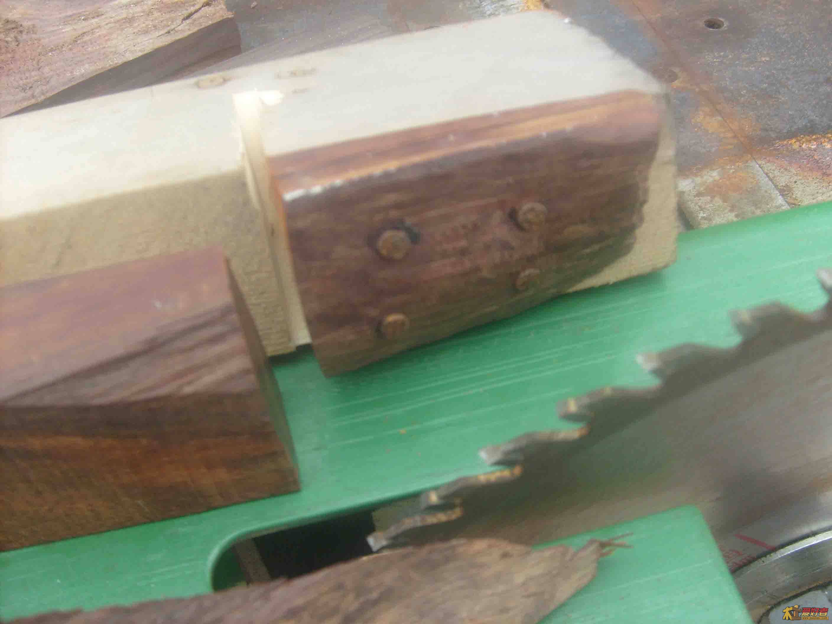 S6300940.jpg