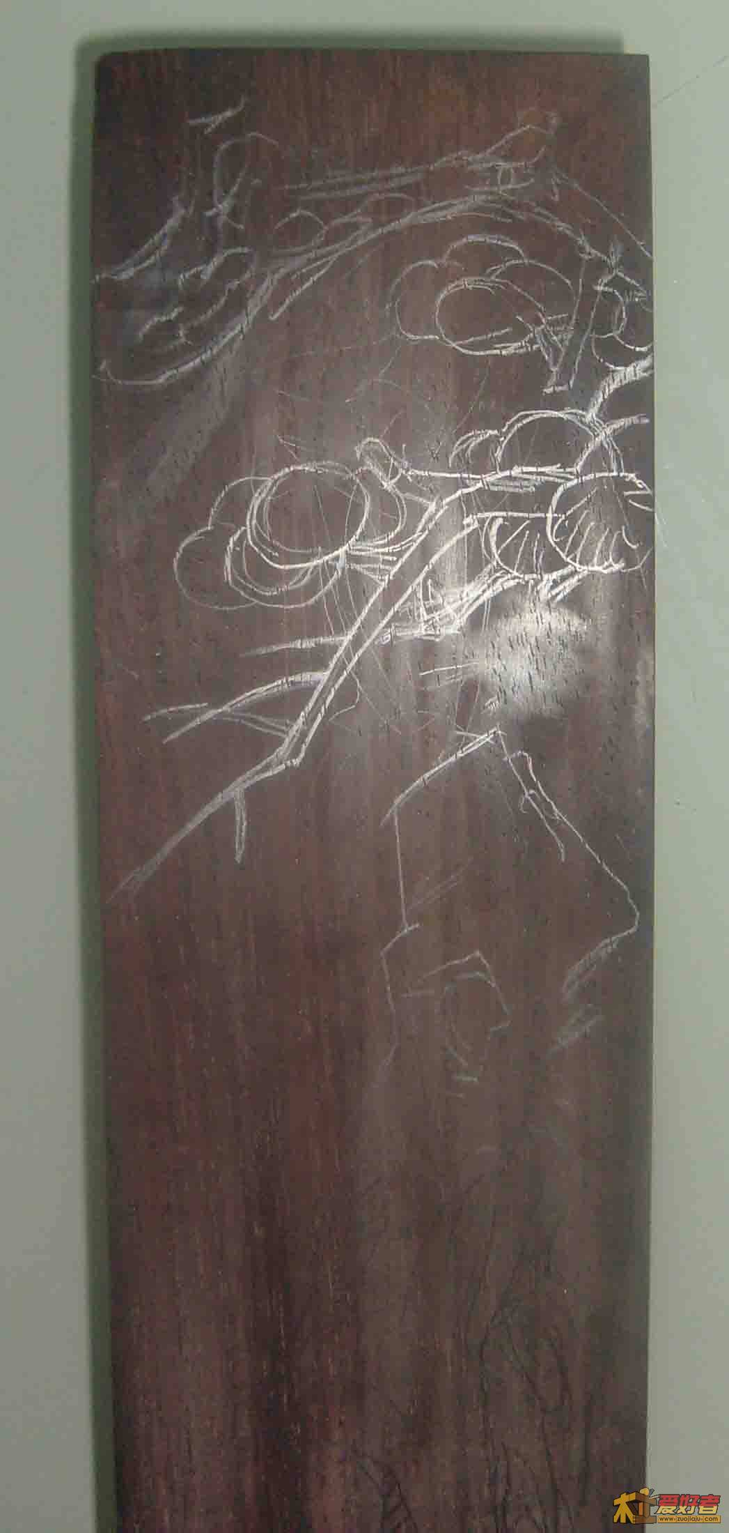 S6300987.jpg