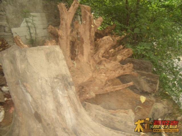 CIMG0085.JPG