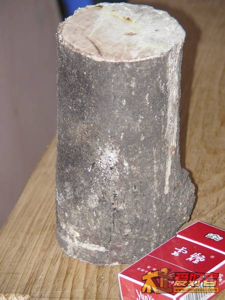 SANY1341.jpg