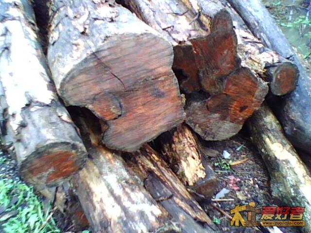 110610177.jpg