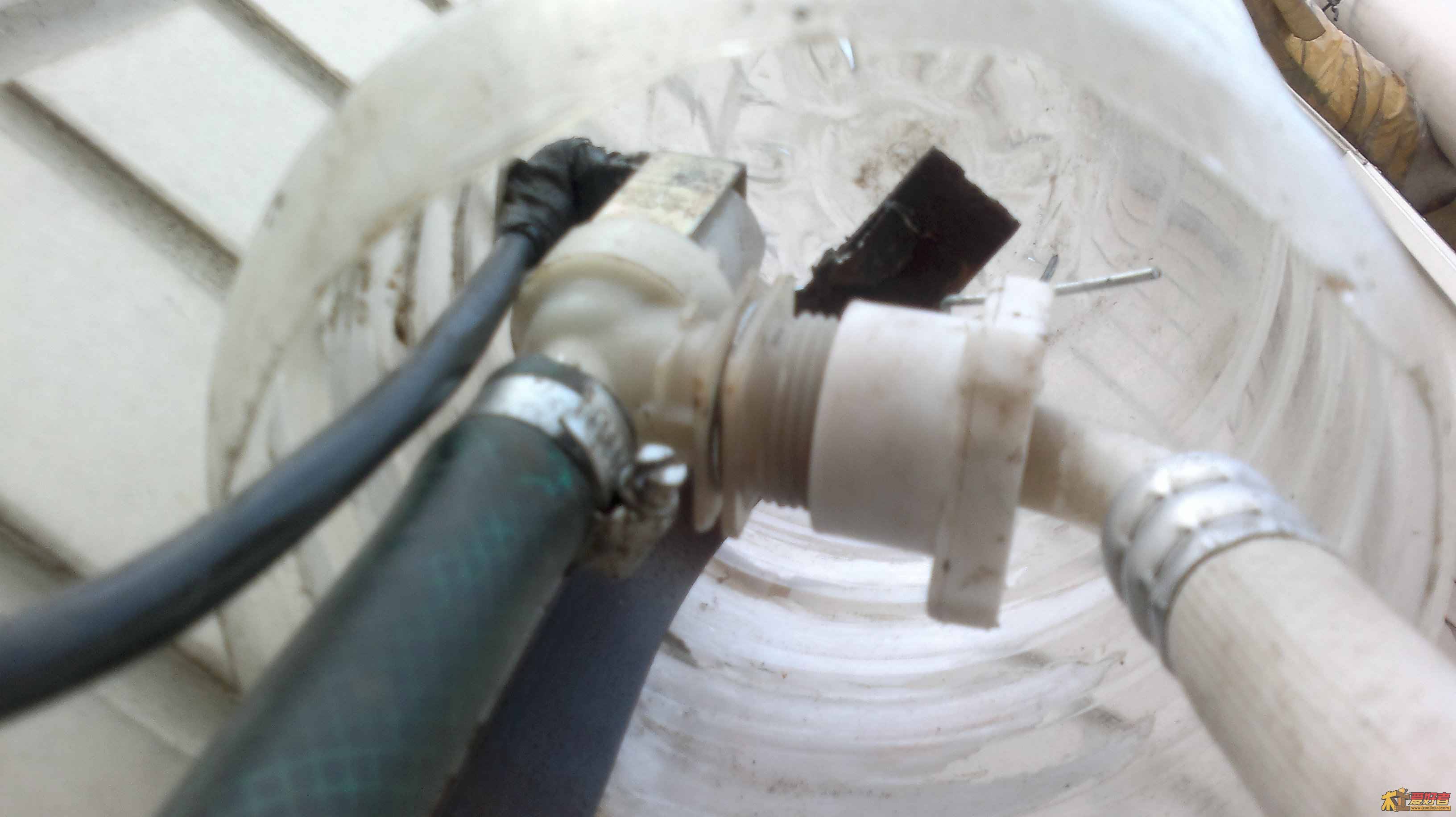 20110613669.jpg