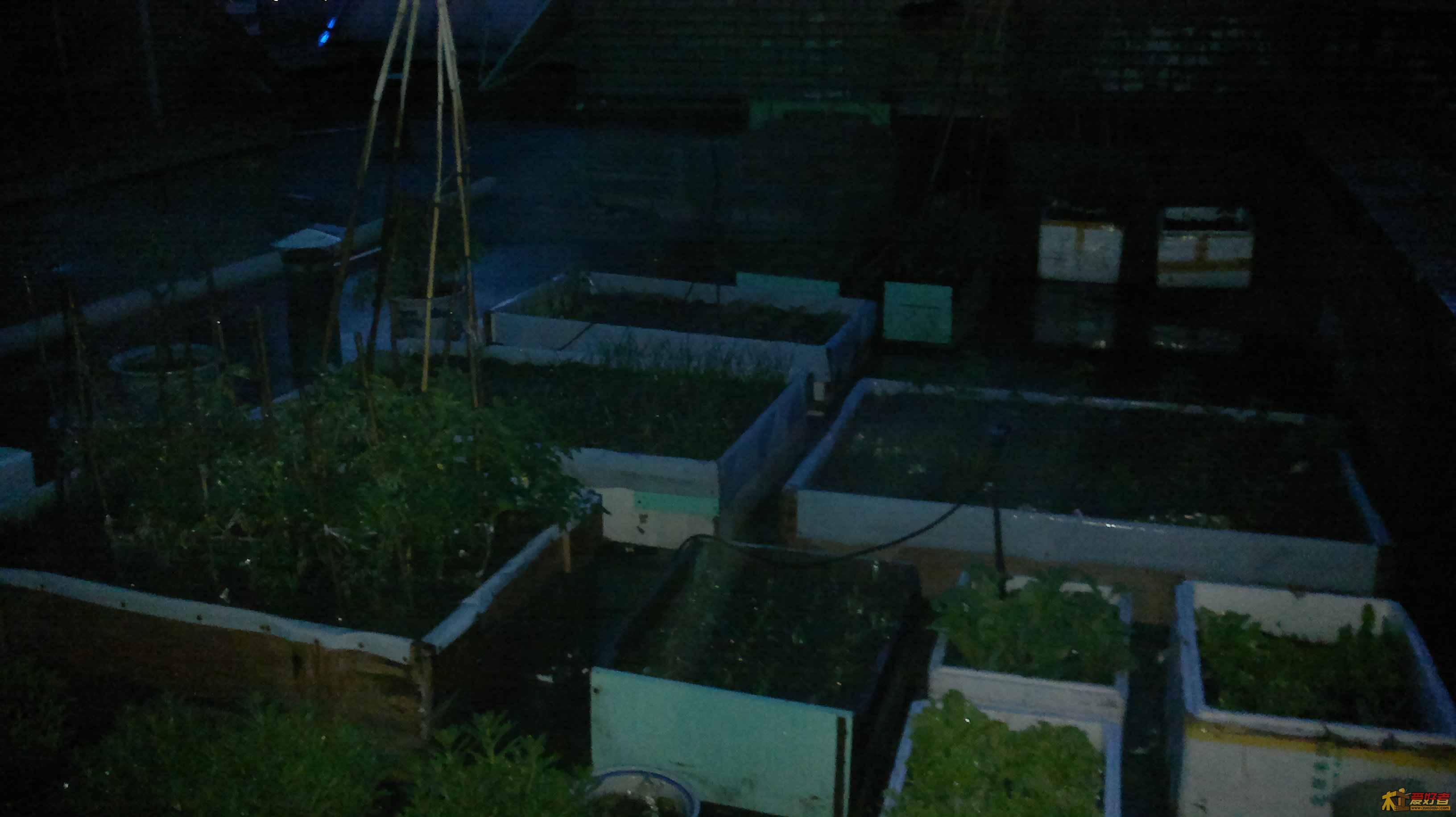 20110601631.jpg