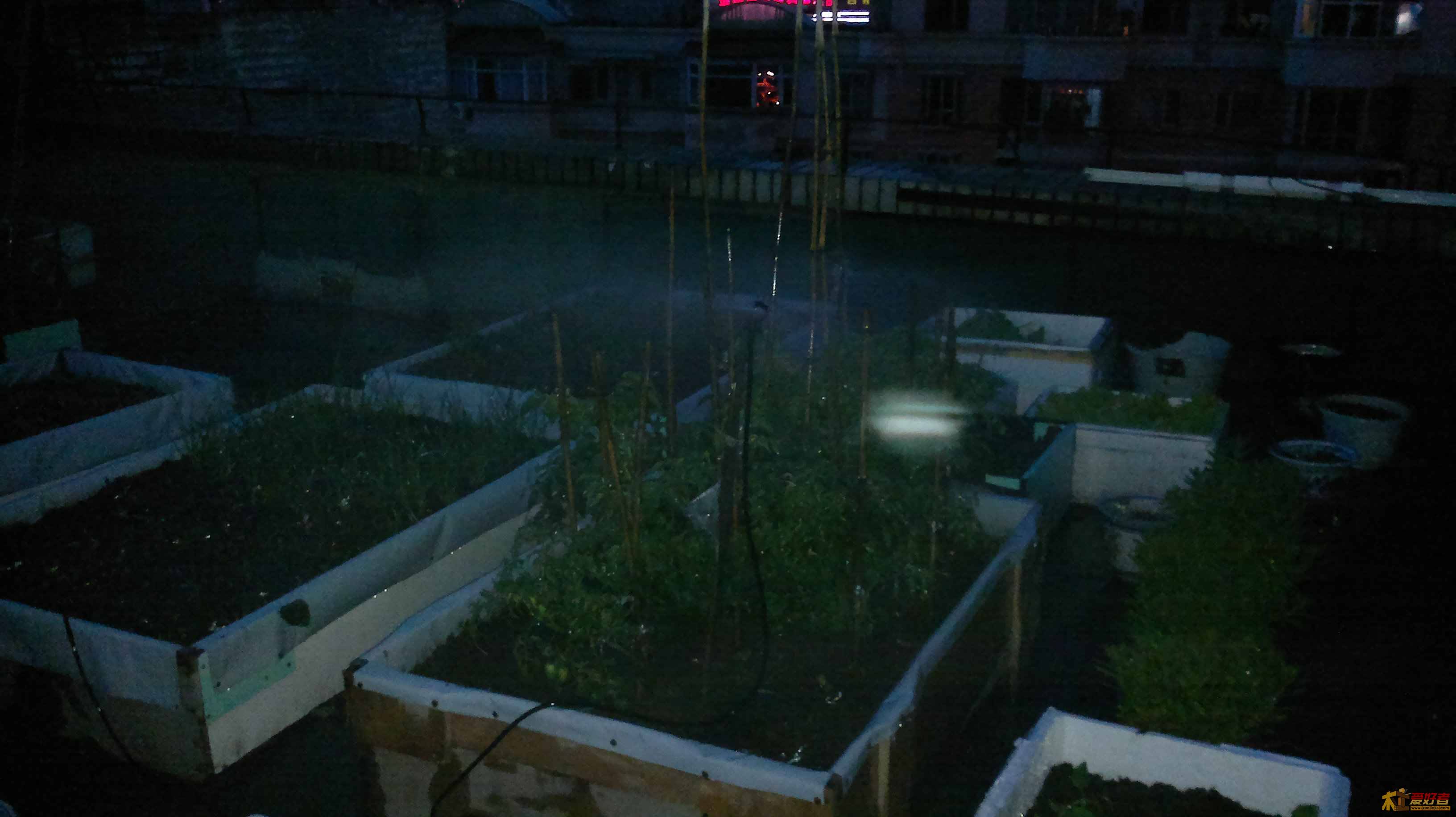 20110601628.jpg