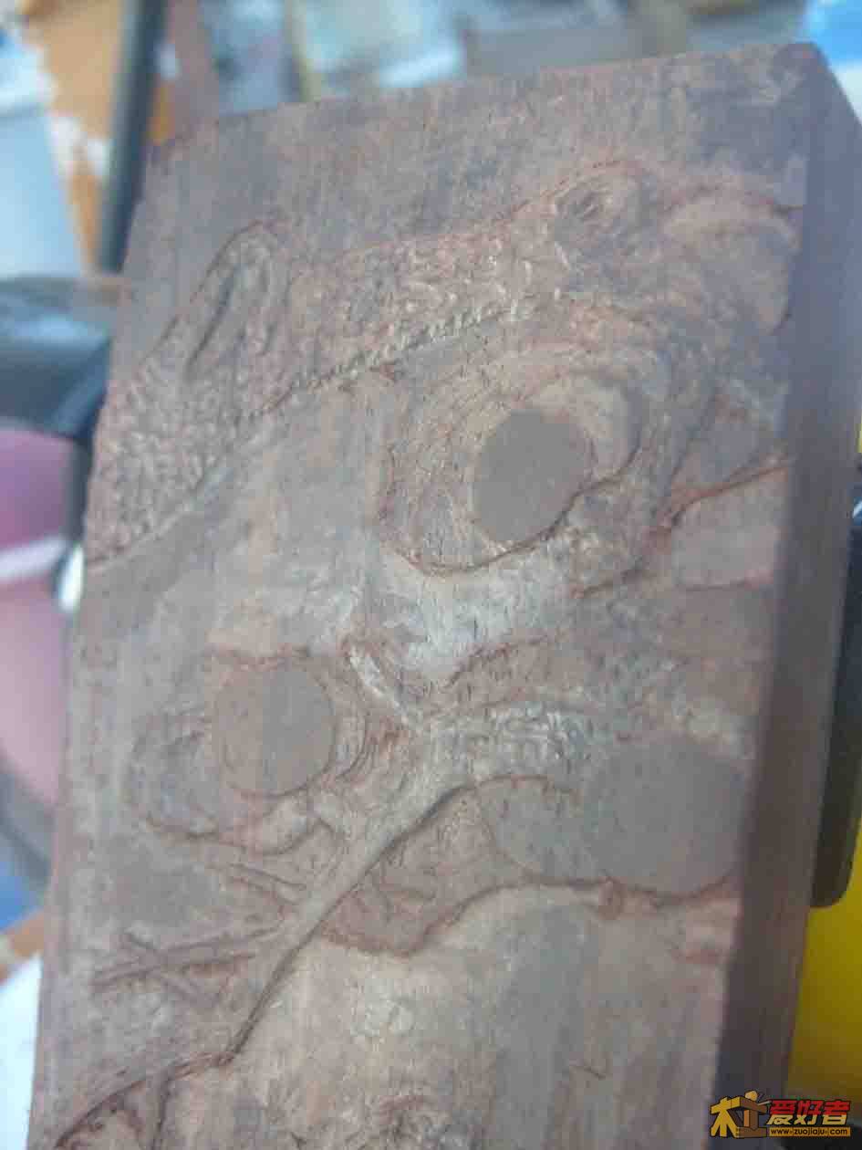 S6301019.jpg