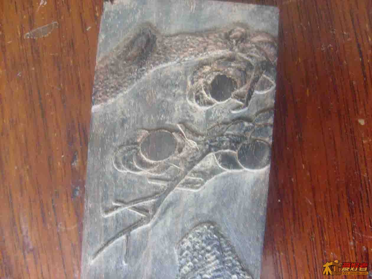 S6301049.jpg