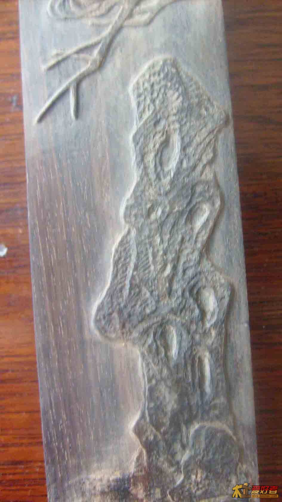 S6301050.jpg