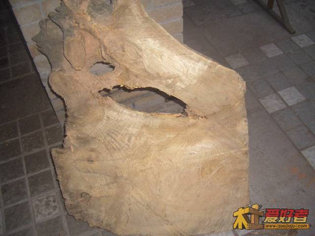 CIMG9908.JPG