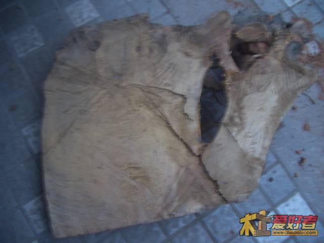 CIMG9912.JPG