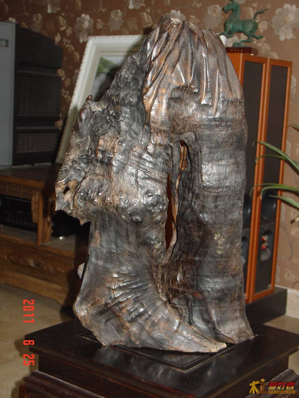 DSC04307-1.jpg