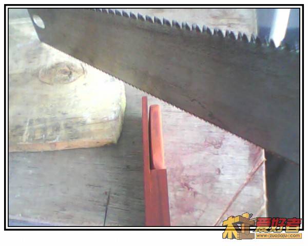 conew_img0665a.jpg