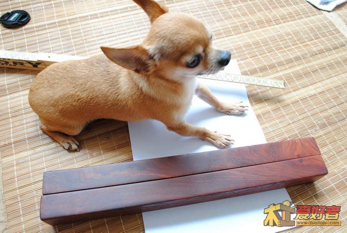 DSC_0857_resize_resize.JPG