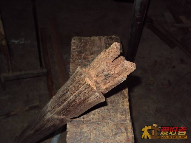 DSC00591.JPG