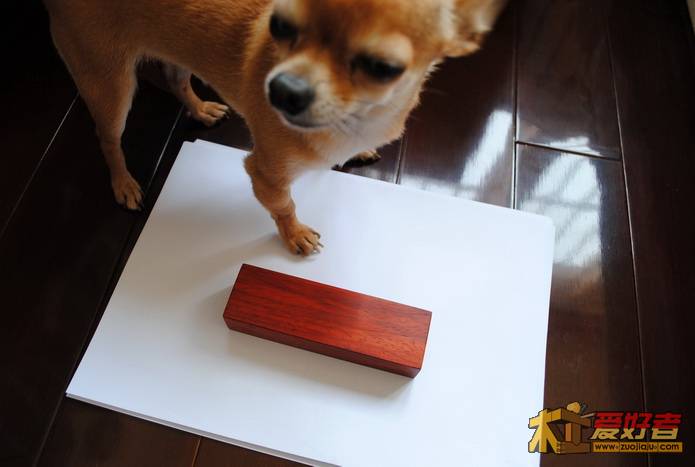 DSC_0747_resize_resize.jpg