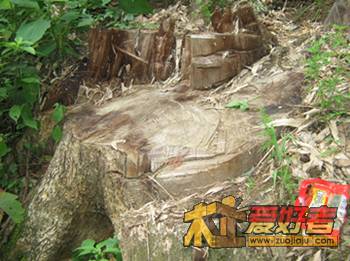 IMG_3851_tian.jpg