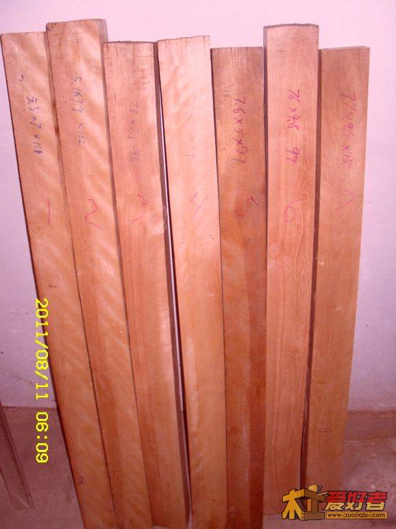 SDC13511.JPG