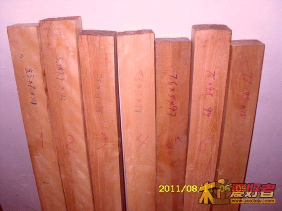SDC13512.JPG