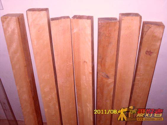 SDC13517.JPG